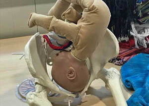 pelvis and doll sq 5x7